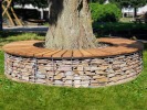 Contorno panchina per alberi